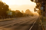 An empty main road in Adelaide on sunset