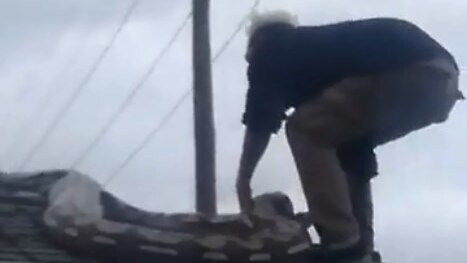 A man drags a large snake off a roof in Detroit.