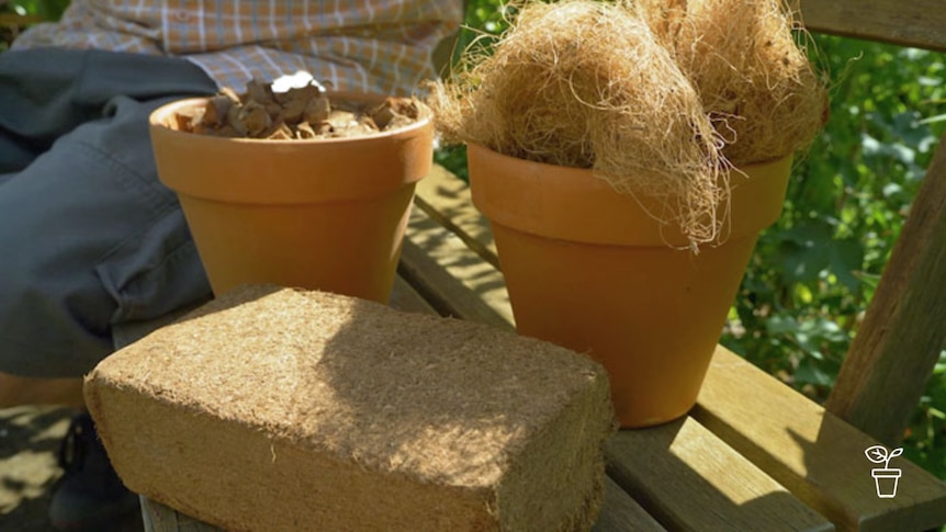 Coir brick on seat with 2 pots behind filled with coconut fibre and coconut fibre chips