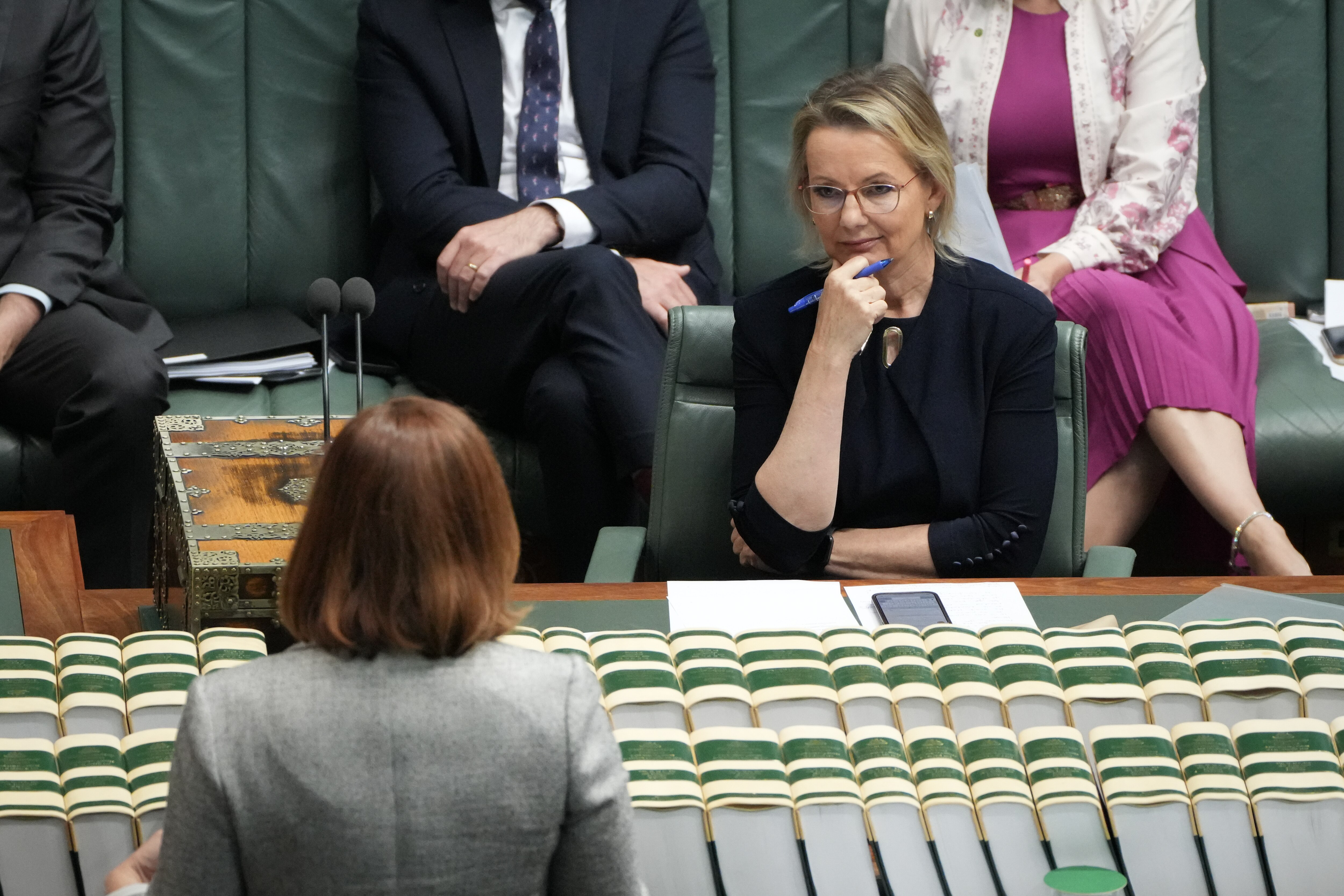 Susan Ray no período de perguntas