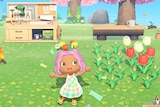 A screenshot from Nintendo's Animal Crossing game with a pink girl in a 2D world on her iisland