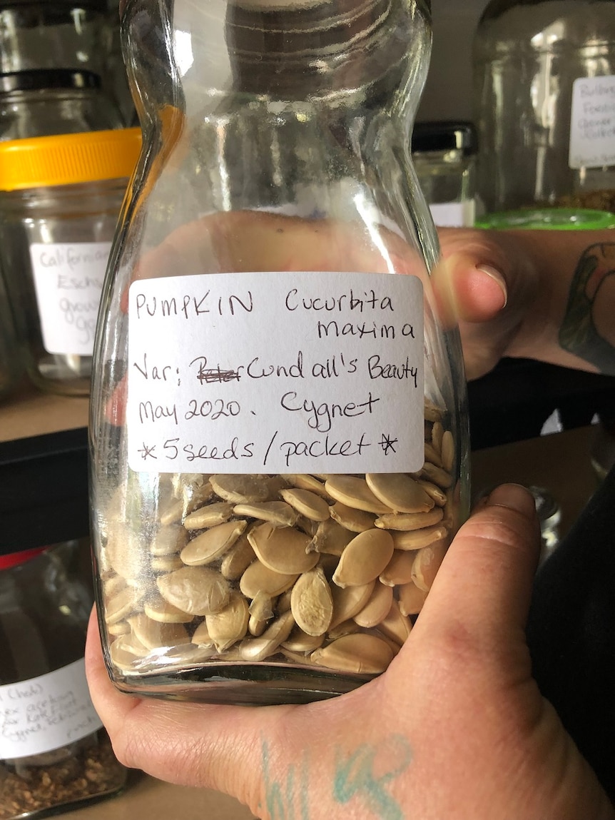 A jar full of pumpkin seeds with a label that they are grown by Peter Cundall.