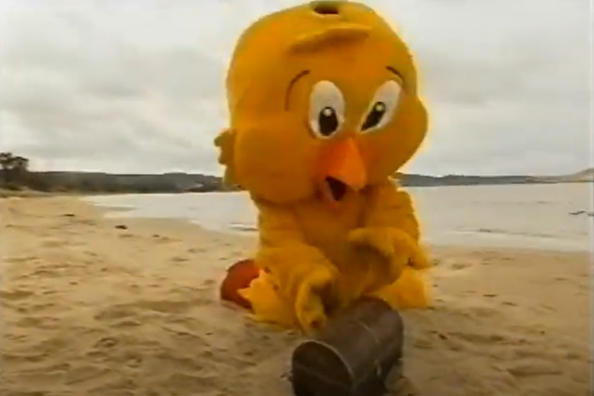 Chickenfeed Cheepa on beach