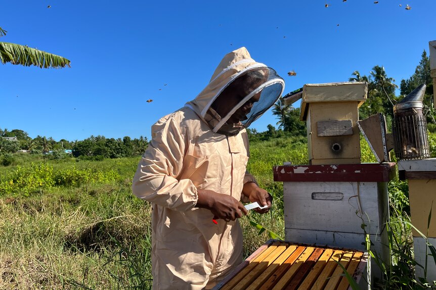 Man in beekeeping suit in Fiji looks at hives