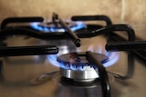 Two lit gas burners on a stove top.