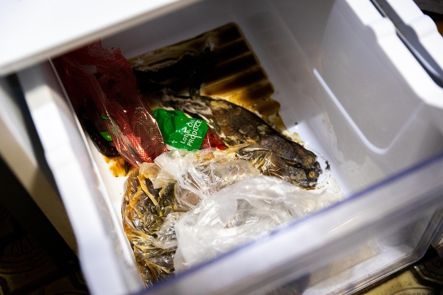 A rotten banana, and brown liquid stuck to the bottom of the inside of a fridge.