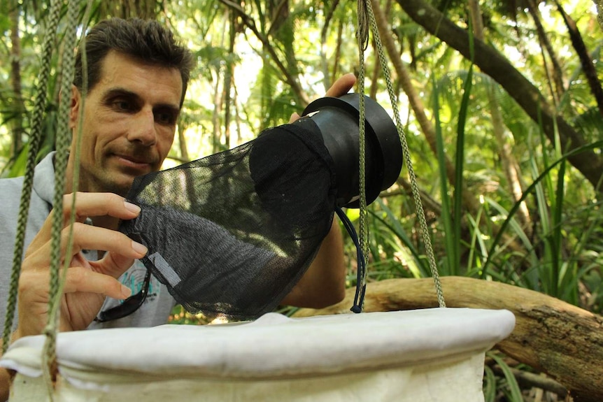 Hervé Bossin in the thick undergrowth on Onetahi checking a hanging mosquito trap.