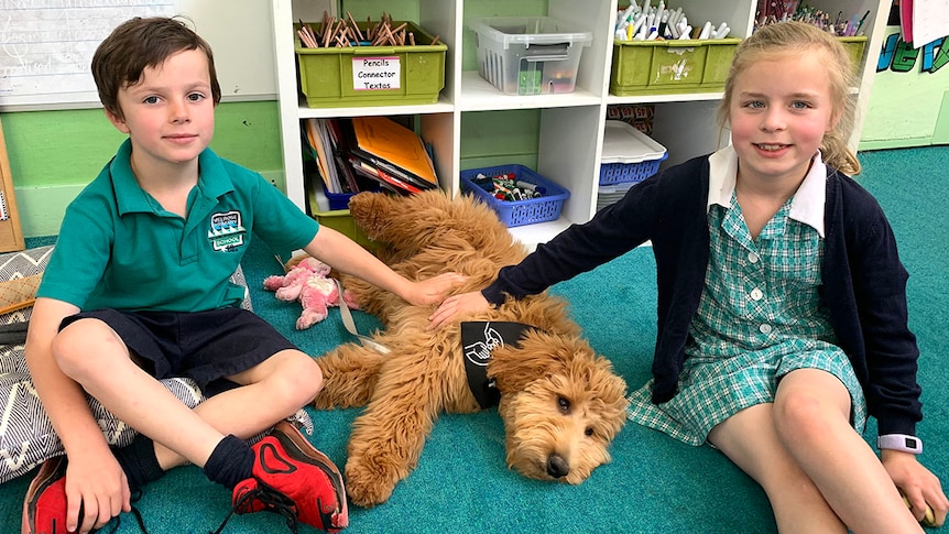 Two primary school aged students sit next to a dog lying on the floor