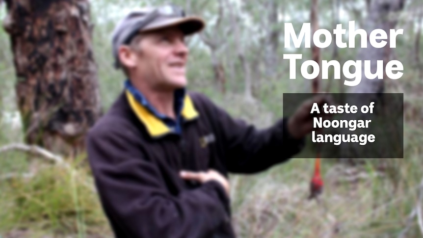 A man, text overlay reads 'Mother Tongue A A taste of Noongar language'