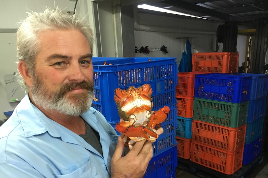 Jason Simpson is determined to raise the Spanner crab's profile.