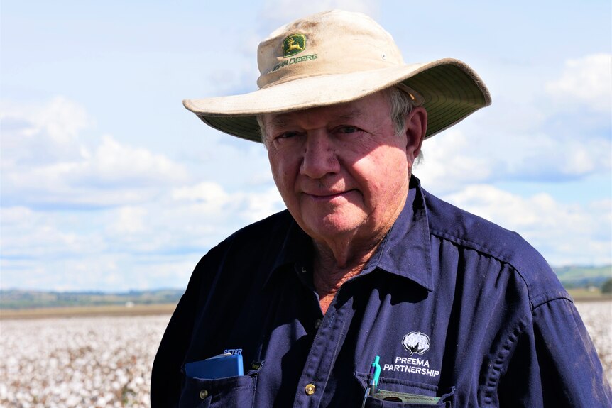 An older man in a dark blue work shirt and white broad brimmed hat standing in a cotton field. He seems hesitant.