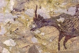 A cave painting portraying an animal and humans.