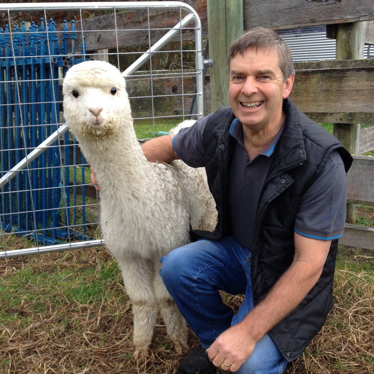 Alpaca growers challenge cute, cuddly image to build markets for ...