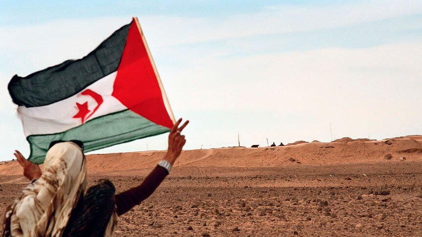 young girl waving a Saharawi flag in front of Moroccan soldiers on the wall