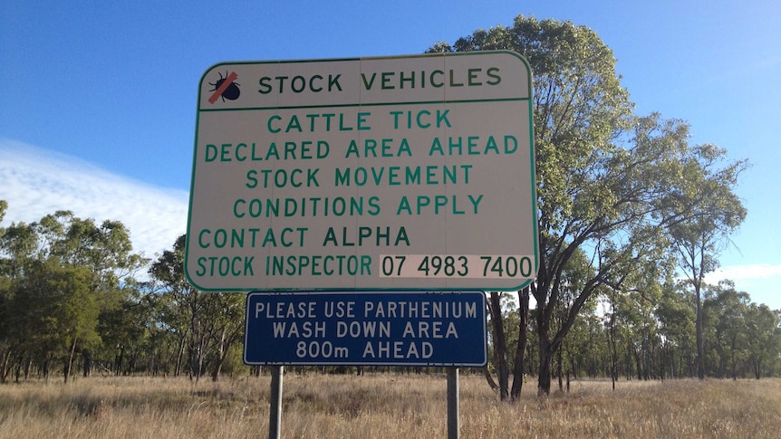 Western Queensland is a cattle tick free zone
