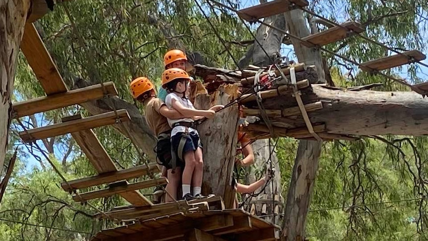 Falling gum tree narrowly misses children at Adelaide's TreeClimb adventure  park - ABC listen