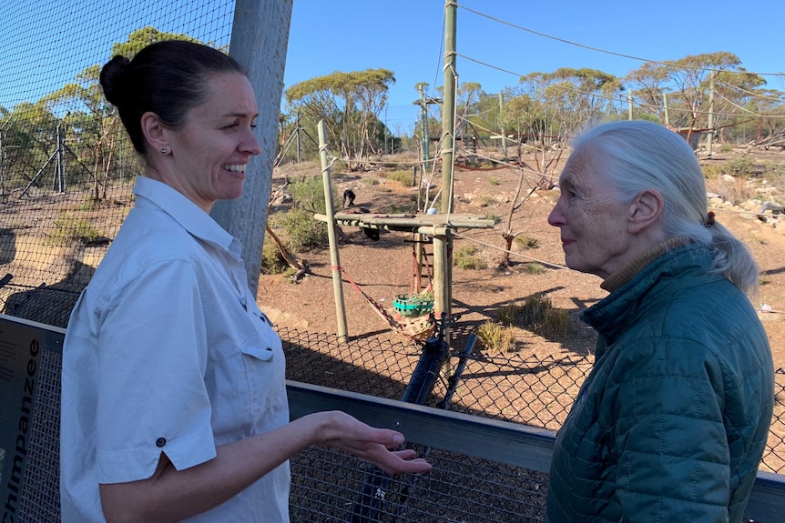 Two women stand facing each other talking in front of an animal enclosure