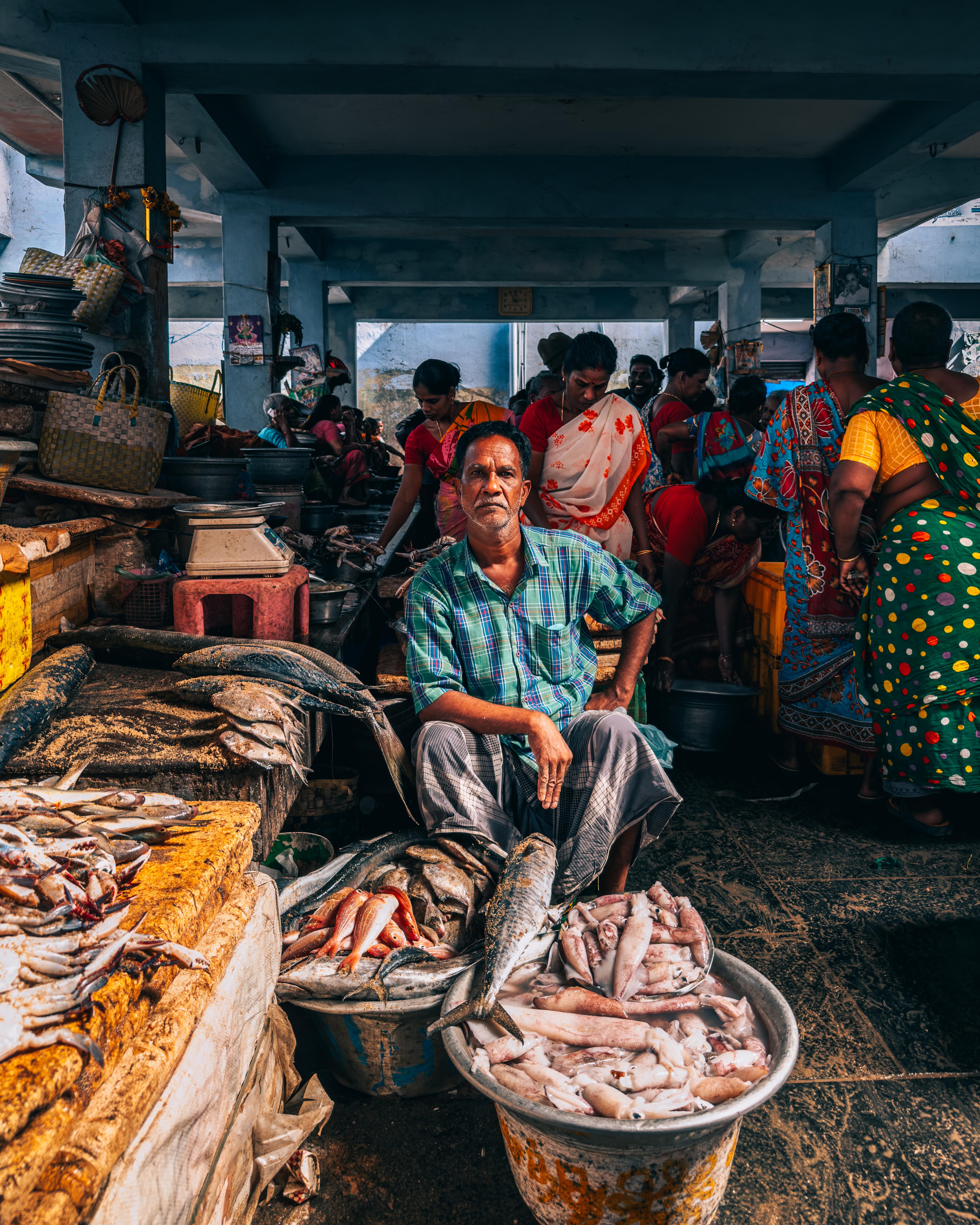 A man selling the catch of the day sits among the hustle of a vibrant fresh market in Pondicherry, India.