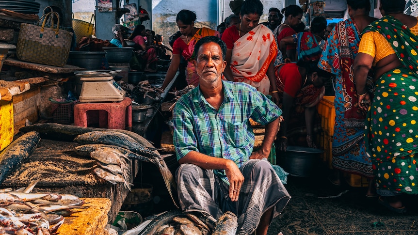 A man selling the catch of the day sits among the hustle of a vibrant fresh market in Pondicherry, India.