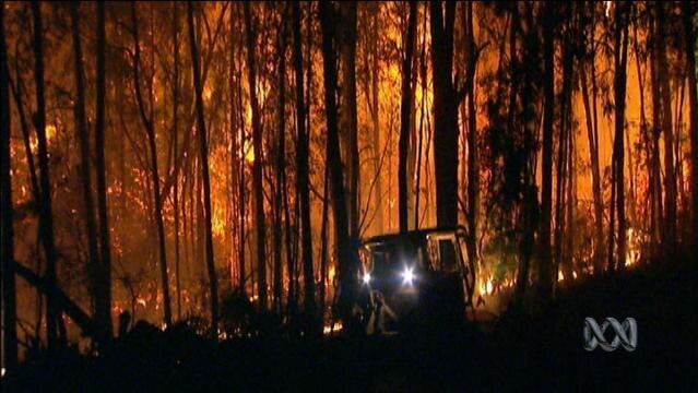 Fire burns in forest at night
