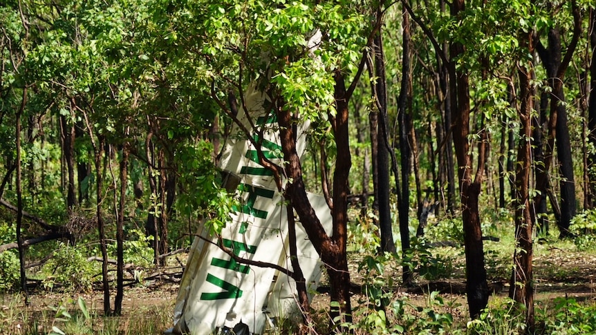 The wing of the crashed Cessna 210 viewed through the trees