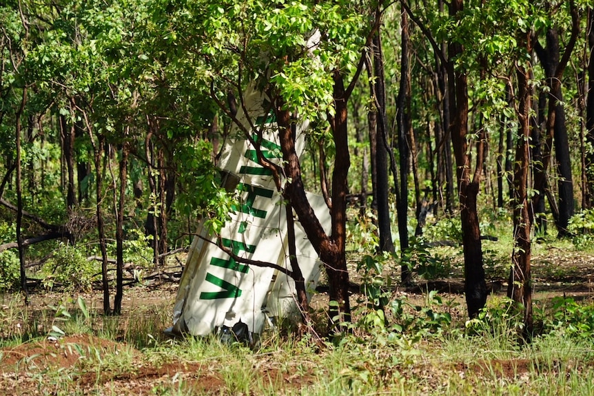 The wing of the crashed Cessna 210 viewed through the trees