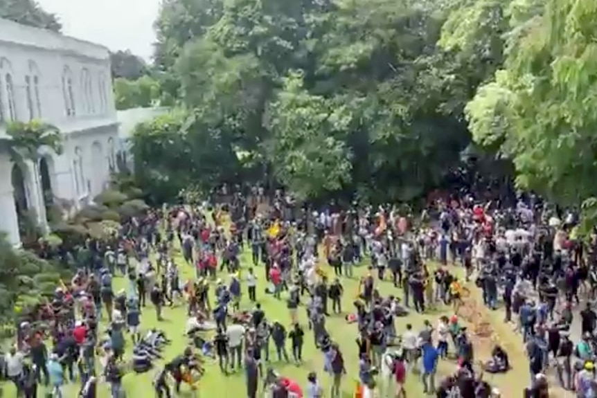 Large groups of protesters gather on the lawn of the Sri Lankan president's house