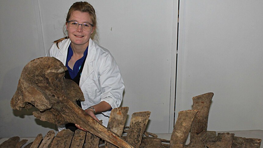 A woman wearing a white jacket and glasses holding a whale skull with bones on a table in front of her