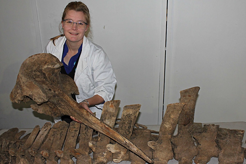 A woman wearing a white jacket and glasses holding a whale skull with bones on a table in front of her