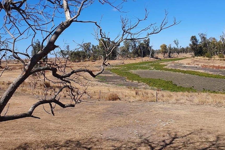 Dry river bed and billabong