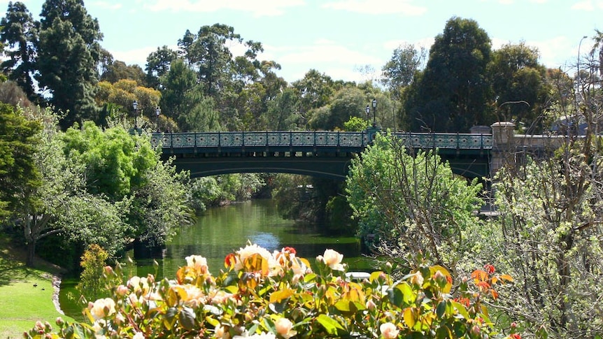 Torrens tranquility