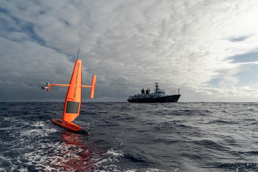 A saildrone and the Falkor