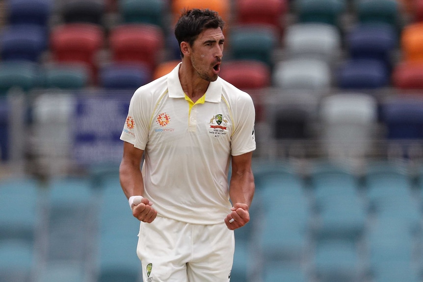 Mitchell Starc clenches both fists with his hands bent at his side and yells