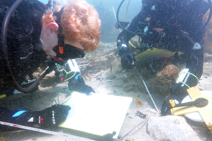 Two underwater divers use tools to measure timber lengths on a shipwreck