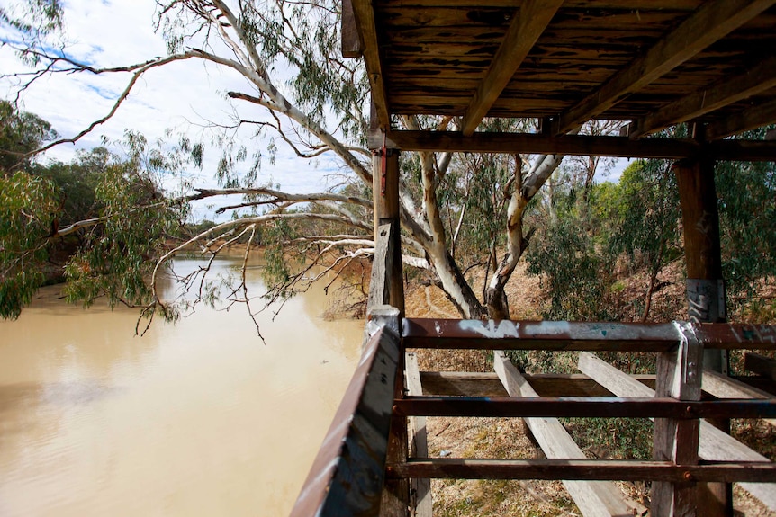 The Darling River from under a wharf and a tree in the distance