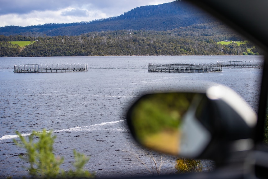 Salmon pens in a bay seen from a car.