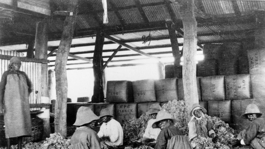 Aboriginal women sorting fleece