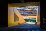 Looking out the tunnel at Lang Park.