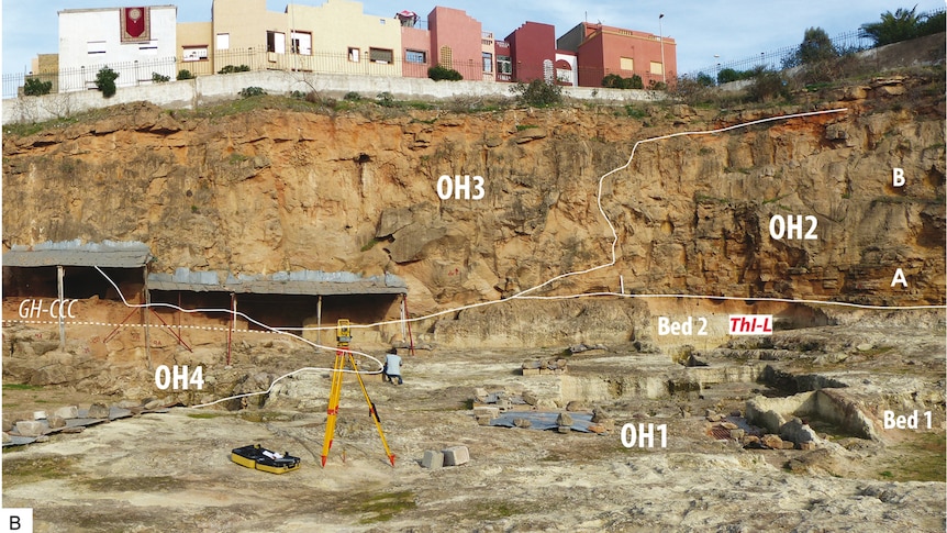 The excavation site with mark ups drawn across the image showing areas where artefacts were found. 