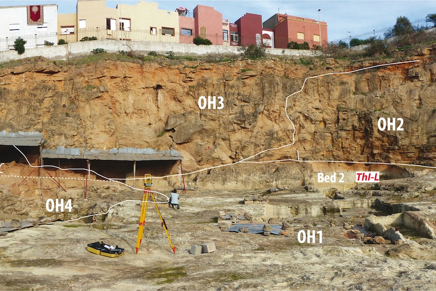 The excavation site with mark ups drawn across the image showing areas where artefacts were found. 