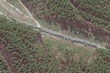 A long line of Russian vehicles on a road surrounded by forrest.