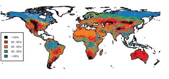 Global map showing total abundance of species occurring in primary vegetation
