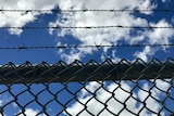 The barbed wire on top of the fence.