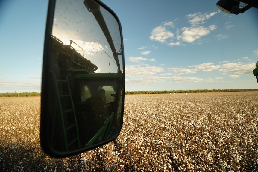 Mirror on tractor in cotton field