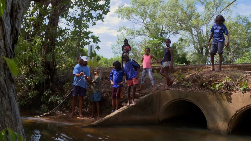 Indigenous children stand beside Daly River