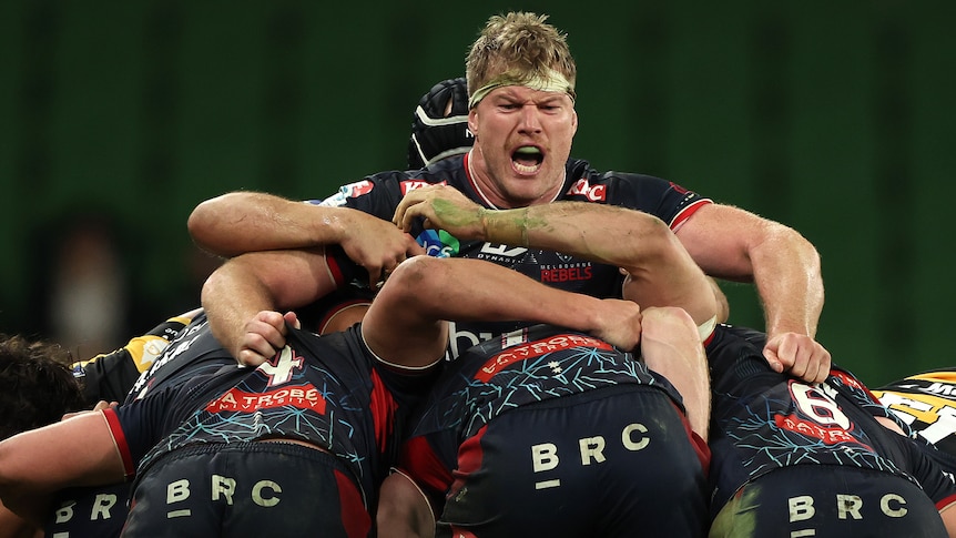 A man roars during a rugby union scrum