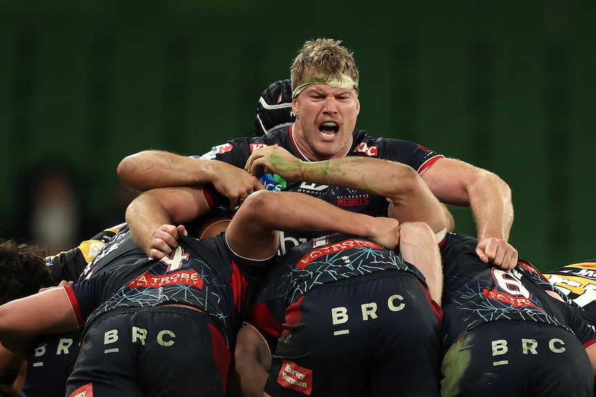 A man roars during a rugby union scrum
