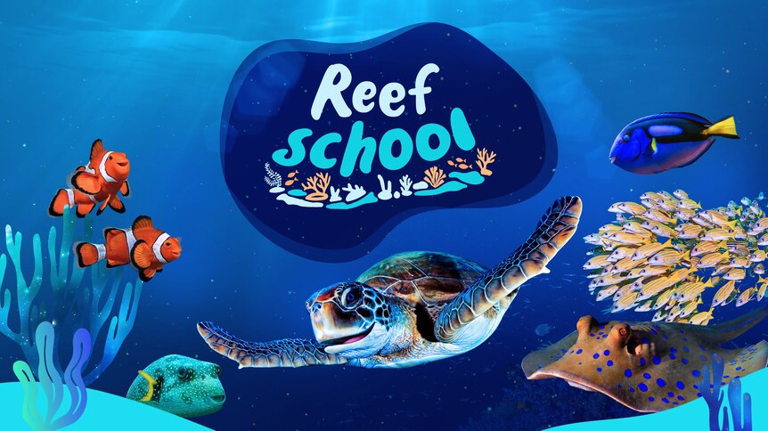 The Reef School poster featuring an underwater scene including a turtle, sting ray and colourful fish.