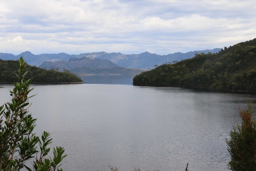 Lake Pedder appears to be at almost full capacity