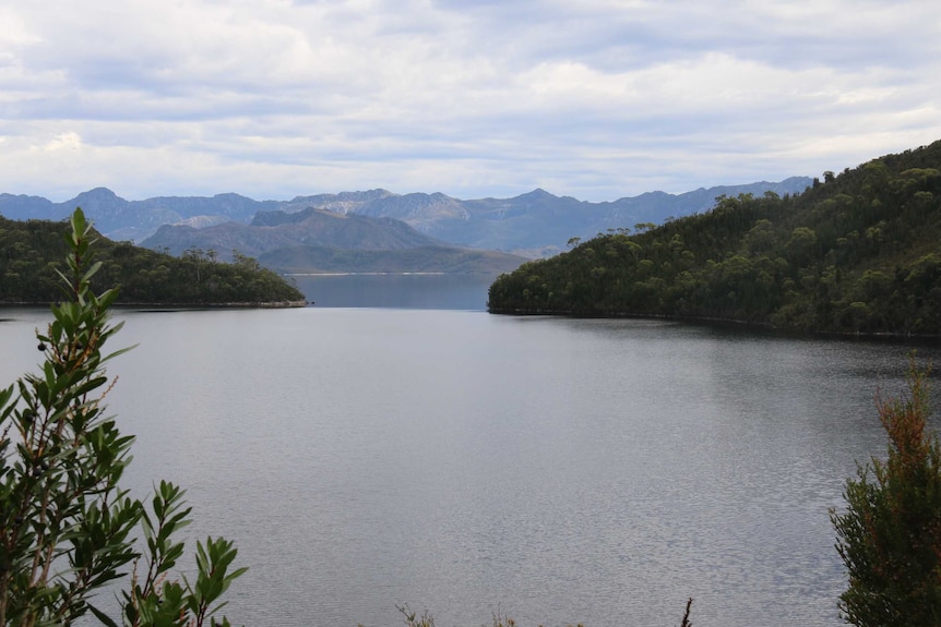 Lake Pedder at almost full capacity